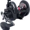PENN Warfare Star Drag Conventional Nearshore/ Offshore Fishing Reel, HT-100 Star Drag, Max of 15lb | 6.8kg, Made with Corrosion-Resistant Graphite Frame