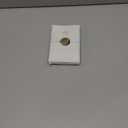 UNIQOOO Wax Seal Stickers - Eucalyptus Wedding Invitation Envelope Seal Stickers, 50 Pcs Self- Adhesive Prosecco Metallic Light Gold Stickers, Perfect for Invitation, Christmas, Gift Wrapping