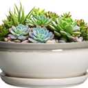 SQOWL Large Succulent Planters - 12 Inch Ceramic Bonsai Pots with Drainage Hole and Saucer, Shallow Round Planter for Indoor Plants, Bowl Planter Outdoor, Living Room Decor, Birthday Gift, Gray-Beige (Grey-white)
