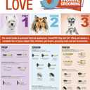 ConairPRO Dog & Cat PGRDFC Grooming Flea Comb, Golds & Yellows