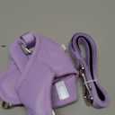 Rabbitgoo Dog Harness Small Medium Sized and Leash Set, Step in Soft Light Puppy Vest, Breathable Mesh Pet Harness, Reflective for Safe Easy Walking, Light Purple L (L (Chest: 18.2 - 20.5"))