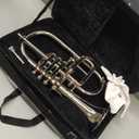 Queen Brass F-25 Flugel Horn Bb Pitch with Carrying Hardcase & Mouthpiece, Flugelhorn Harmon Mute 4 Valve in Nickel Finish, Perfect Gifting Option for Birthdays, Thanksgiving, Christmas (Silver)