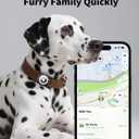 WhoseID Airtag Dog Collar, Waterproof Airtag Holder for Dog Collar & Cat Collar Slicone Full Body Covered Pet Air Tag Holder (Black, Regular)