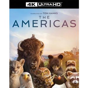 The Americas: Complete Limited Series 4K UHD