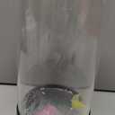 Jellyfish Lamp LED Mood Night Light with 7 Color Changing, Remote Control Large Jellyfish Aquarium Tank Night Light to Decorate Home Office, Gifts for Kids Teens Adults, 5.12" Dia x 11.42" H (Black)