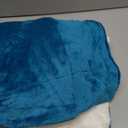 Bedsure GentleSoft Sherpa Fleece Throw Blanket for Couch - Thick and Warm Throw for Women and Men, Soft Fuzzy Plush Blanket for Winter, Non-Heated, Teal, 50x60 Inches