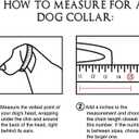 Dog Chain Collar High Rose Gold Polished 15MM Stainless Steel Cuban Link Strong Heavy Duty Chew Proof Walking Chain Leash Collar for Small Medium Big Dogs(15MM, RG, 16")