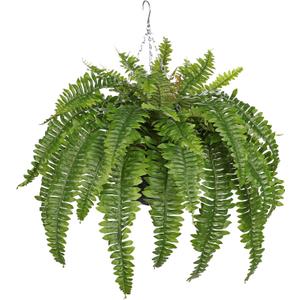 Hollyone 33" Artificial Boston Fern Hanging Basket Large 39 Leaves Fake Ferns in Rattan Pot Greenery Plants for Outdoors & Indoor Faux Fern Bush Basket Plant Patio Garden Home Decor Green