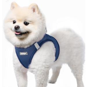rabbitgoo Small Dog Harness, Step-in Soft Mesh Puppy Vest with Safety Buckle, Breathable Reflective Pet Harness for Small Sized Dogs, Navy Blue S