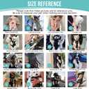 Lukovee Dog Backpack Carrier, Legs Out Easy-fit Dog Front Carrier for Small Medium Dogs, Adjustable Hands Free Dog Chest Carrier for Hiking Cycling (B,Medium)