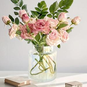 BLOFLO Iridescent Glass Vase, 7 Inch Large Glass Vase for Flowers, Modern Thick Glass Flower Vases for Centerpieces, Decorative Glass Cylinder Hydroponic Vase for Wedding, Home, Office