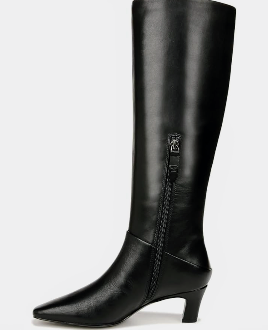 Franco Sarto Women's Andria Pointed Toe Tall Boot Knee High, 5.5