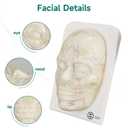 Transparent Injection Face Model with Blood Vessels, Anatomical Injection Mannequin Face, Facial Injection Training Model for Estheticians, Medical Students, Detachble Face Skin
