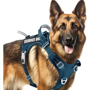 BARKBAY Service Dog Vest Tactical Dog Harness Medium Large Sized Dog Tags Personalized No Pull Adjustable Harness Reflective Working Training Easy Control Military Molle System(Legion Blue,XL)