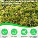 Legigo 2.6 LBS Green Moss for Plants Indoor, Crafts Moss for Artificial Plants, Decorative Dried Moss Forest Moss for Fake Potted Plants, Fairy Garden, Table Centerpieces and Terrarium Decor