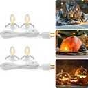 Brightown Accessory Cord with 2 LED Light Bulbs - UL Listed 5 Feet Christmas Village Cords, Rotary Switch, Fused Plug for Crafts, Halloween Pumpkin, Holiday Ornaments, White Cord, Warm White, 2 Pack