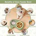 Slow Feeder Dog Bowls, Stainless Steel Water Bowl, Slow Eating Dog Bowls Breed Set, Slow Feeder Dog Puppy Bowls Anti-Choking for Medium Small Breed Size Dogs and Cats, Green
