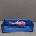 Interactive Baby Axolotl with Inflatable Pool, Alix, Swims and Lights Up in Water, Rainbow Lights Tell Your Mood (Ages 5+)