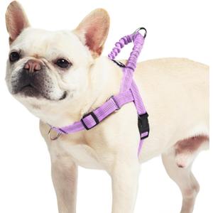 PUPTECK No Pull Dog Harness Small Sized Dog, Adjustable Reflective Pet Vest Harness with Bungee Handle, Escape Proof No Choke Harness for Small Dogs Walking Training, Purple S
