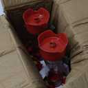 Perky-Pet 203CPBN-2 Glass Hummingbird Feeders for Outdoors with Perches, Ant Moat, Bee Guards - Pack of 2