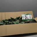 Artificial Ficus Tree, 7ft Silk Fake Ficus Leaves Plant with Basket, Indoor Outdoor Faux Green Tree for Home Garden Office House Livingroom Dcor