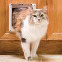 PetSafe Interior Cat Door: 2-Way Locking, Indoor Pet Door Flap - Tinted Privacy Door for Cat Litter Box or Pet Feeder, Built-in Door Lock, Durable Door Frame, DIY Easy Install, Hardware Kit Included