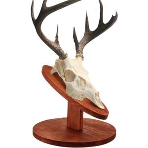 Taiyin Deer Head Mount Kit Solid Pine Skull Display European Taxidermy Mount Skull Hanger Hunting Pedestal Plaque for Bear Boar Wall Table Display