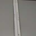 2 x Trends International Stay Weird Mushrooms Wall Poster, 22.375" x 34", Unframed Version