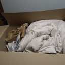 CozyLux Queen Comforter Set Beige Seersucker 7 Pieces Bed in a Bag Queen Comforter Set with Sheets, Luxury Soft Bedding Set with Down Alternative Comforter, Sheets, Pillowcases & Shams for All Seasons