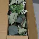 GOVIRAYE 6FT Artificial Eucalyptus Garland – Non-Shedding Greenery Vine for Farmhouse, Wedding & Home Decor