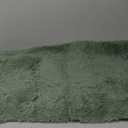 Pettop Fluffy Sage Green Area Rug for Bedroom Living Room, 3x5 Feet Soft Plush Fuzzy Rugs for Girls Kids Boys, Non-Slip and Washable Rug for Nursery Classroom, Carpet for Rooms Decor