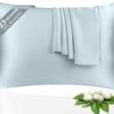 100% Silk Pillowcase 2 Pack for Hair and Skin, Both Sides 23 Momme Grade 6A+ Mulberry Silk Pillowcases with Hidden Zipper, Soft&Smooth Cooling Pillow Cases (Ash Blue, King 2036)
