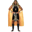 Morph Egyptian Costume Men, Pharaoh Costume Men, Egyptian Halloween Costumes For Adults Size S