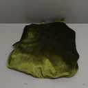 Velvet Tops for Women Lace Trim Long Sleeve Blouse Elegant Flared Crew Neck Loose Fit Ruffle Flowy Babydoll Shirts (Large, Green)