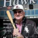 Hawk: I Did It My Way