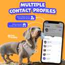 3 x HeyBuddy Slide Series - QR Code Smart Pet Tags for Dogs & Cats, Personalized Pet Tag Stores Multiple Information, Includes Passive Location Tracking, Real-Time Notification & Community Alerts (Large, Pink)