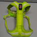 ChalkLit Light Up Dog Harness, No Pull Led Dog Harness Glow-in-The-Dark for Night Walking, USB Rechargeable Lighted Safety Vest for Dogs, Adjustable Soft Mesh Fully Illuminated(Green, L)