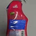 OdoBan Pet Oxy Stain Remover, 32 Fl. Oz.