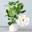 Climbing Plant Stem Support, Metal Gold Plant Stem Holders, Monstera Plant Growth Stakes Trellis for Indoor Outdoor Garden