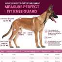 Dog Knee Brace for ACL, CCL, Arthritis, Joint Pain Hinged Leg Support for Torn Ligament, Luxating Patella, Rear & Hind Legs Orthopedic Compression & Mobility Recovery Wrap (Both Legs Large)