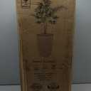 Mueller M-Resin Heavy Duty Tall Planter, Indoor/Outdoor Grande Plant, Tree, Flower Pot, 2-Piece Set, 27.5”, Modern Design, Built-in Drainage, Beige