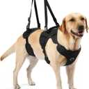 NOYAL Dog Lift Harness for Senior & Injured Pets Full-Body Support Sling with Breathable Mesh, Front/Rear Leg Assist for Arthritis, Hip Dysplasia & Post-Surgery Recovery (Medium-Large Breeds)