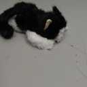 Jorkei Cute Black Cat Stuffed Animal Plush Toy - Weighted & Soft, Cute Small Plushie Gift for Kids, Girls, Boys, Adults. 8 inches