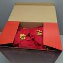 2 Pack 18" Lighted Large Artificial Poinsettias for Outdoors LED Poinsettia Flowers Artificial Faux Poinsettia Plants Poinsettia Christmas Decorations for Office Home Kitchen Decor (Red)