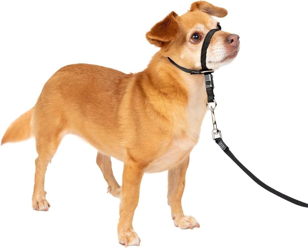 PetSafe Gentle Leader No-Pull Dog Headcollar - The Ultimate Solution to Pulling - Redirects Your Dog's Pulling for Easier Walks - Helps You Regain Control - Petite, Black (1 Count (Pack of 1))