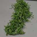 SEEKO Succulents Extra Large Fake Seaweed (Pack of 2, 33" Long) - Artificial Succulents Unpotted - String of Pearls