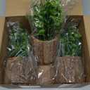 Svenee Fake Four Leaf Clover Plants for Bathroom Home Office Desk Decor, Small Artificial Faux Greenery for Farmhouse Decorations 3 piece set