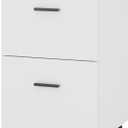 2 Drawer Mobile File Cabinet, Wood Rolling Filing Cabinet Printer Stand Under Desk Storage Organizer Fits Letter Size File Folders for Home Office (White)