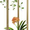 Plant Stand Indoor Corner Tall 2 Tier Metal Modern Flower Storage Plant Shelf Holder for Living Room Balcony Garden,Gold (2 Tier-Gold Round)