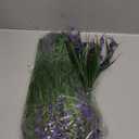 Dried Purple Lavender Flowers Bundle-Dried Preserved Lavender Bouquet 15-17" for Shower Weeding Home Vase Decor, Crafts, Aromatherapy, Fragrance, Fresh Silk Dry Live Plants, 50g(1.76oz)